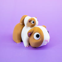 Pocket Pal: Guinea Pig