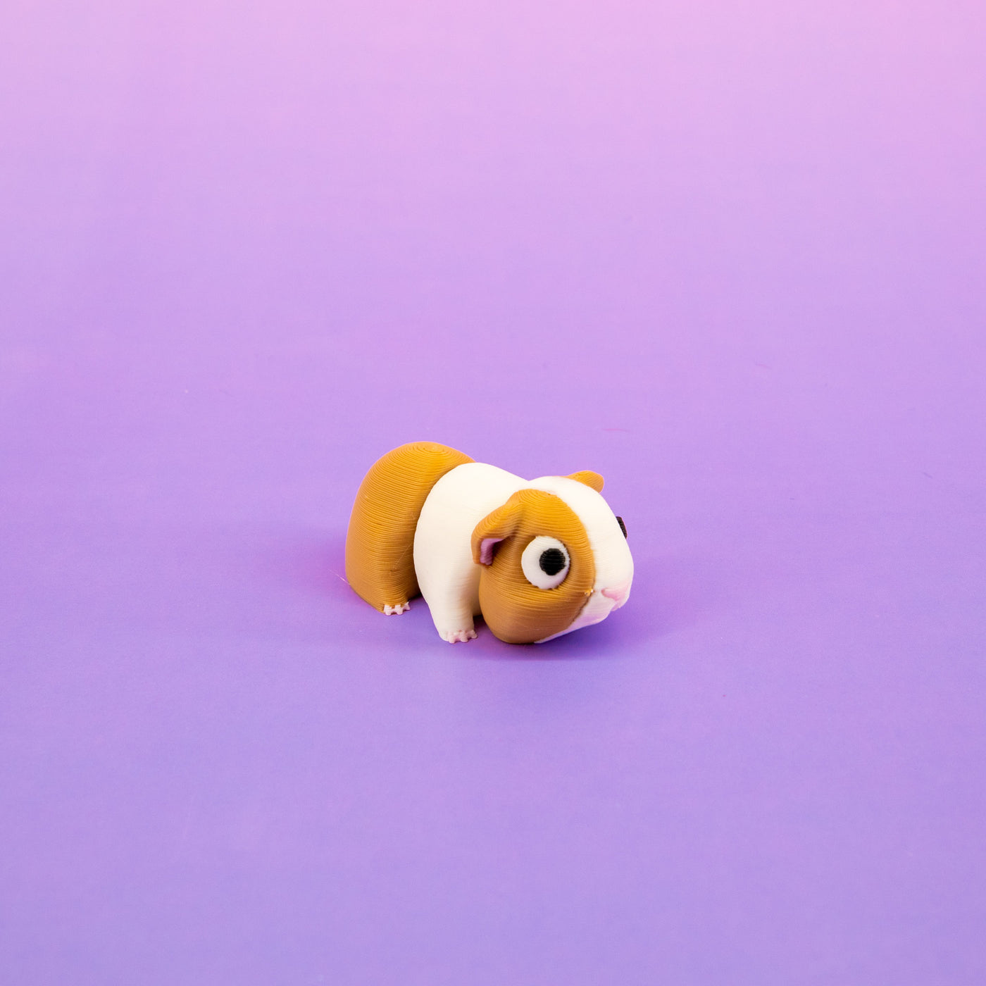 Pocket Pal: Guinea Pig