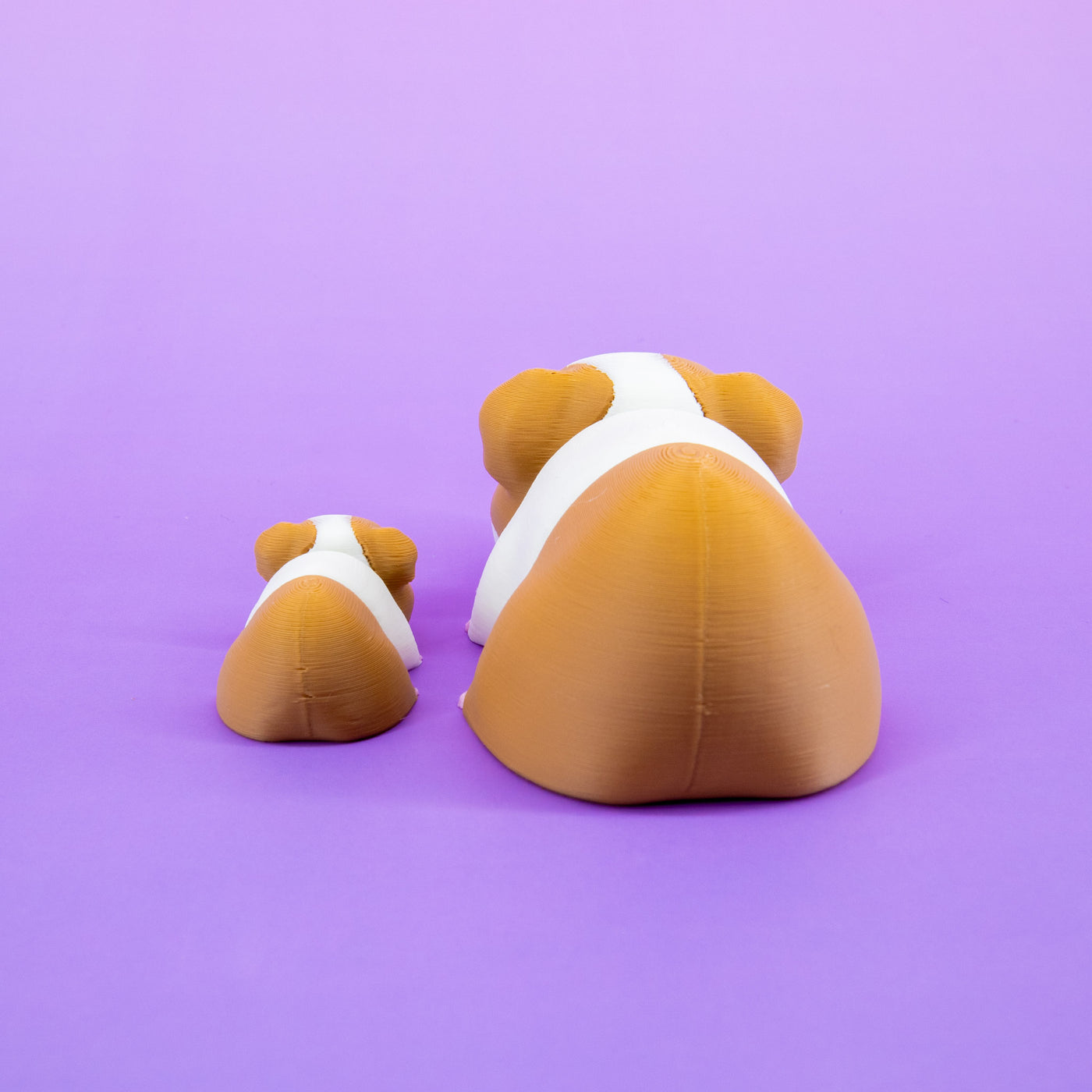 Pocket Pal: Guinea Pig