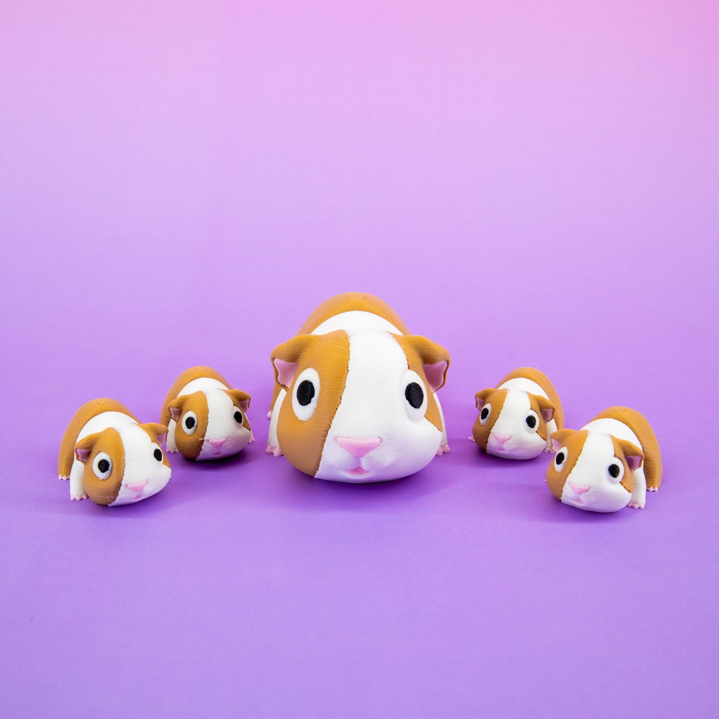 Pocket Pal: Guinea Pig