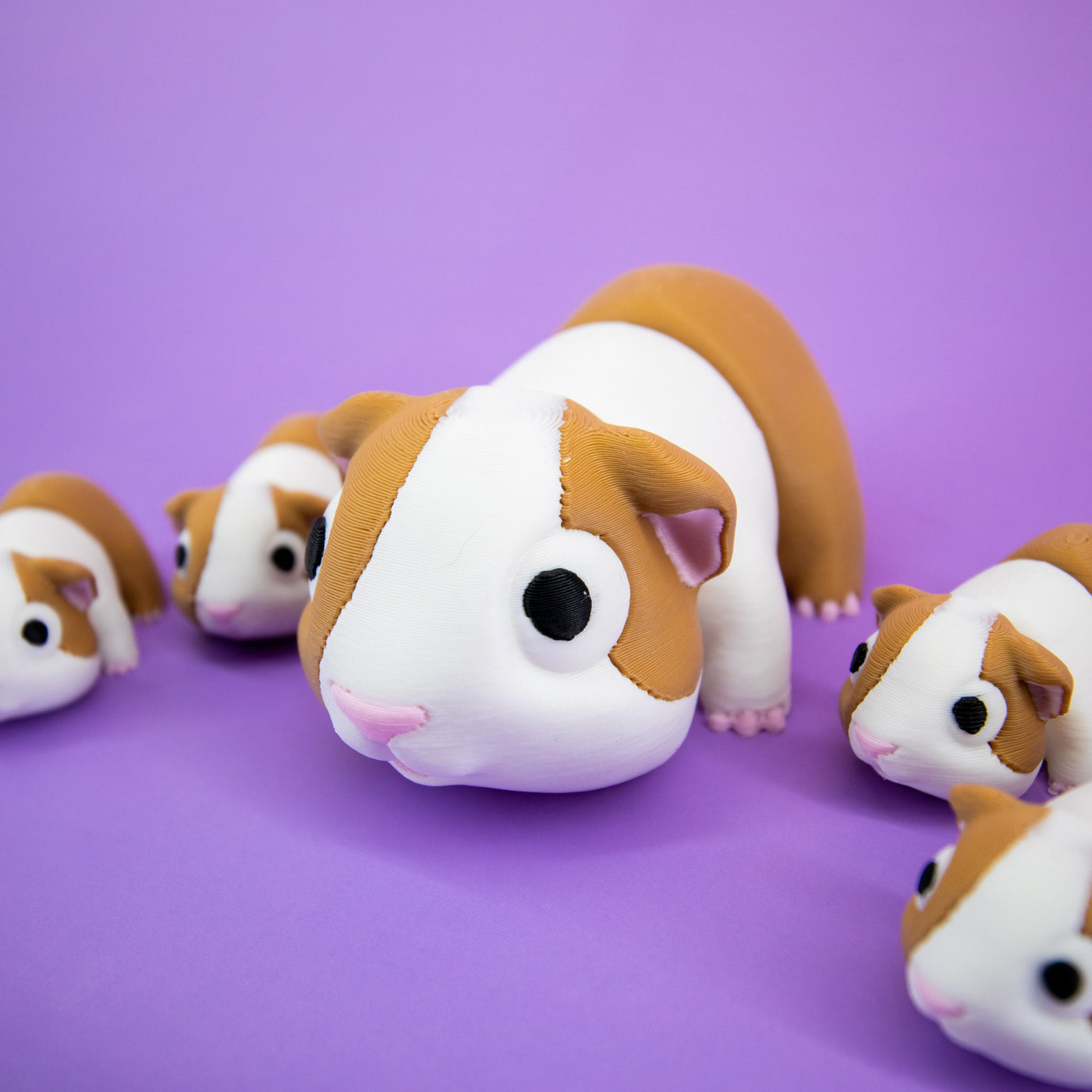 Pocket Pal: Guinea Pig