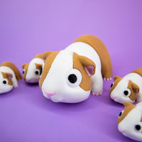 Pocket Pal: Guinea Pig