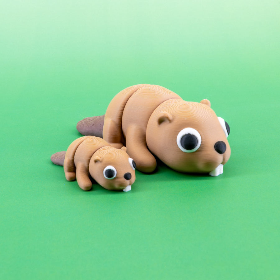 Pocket Pal: Beaver
