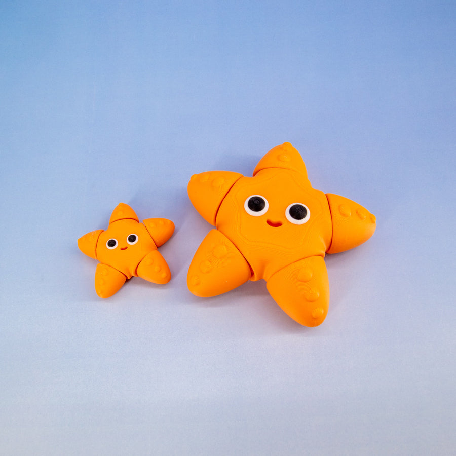 Pocket Pal: Starfish
