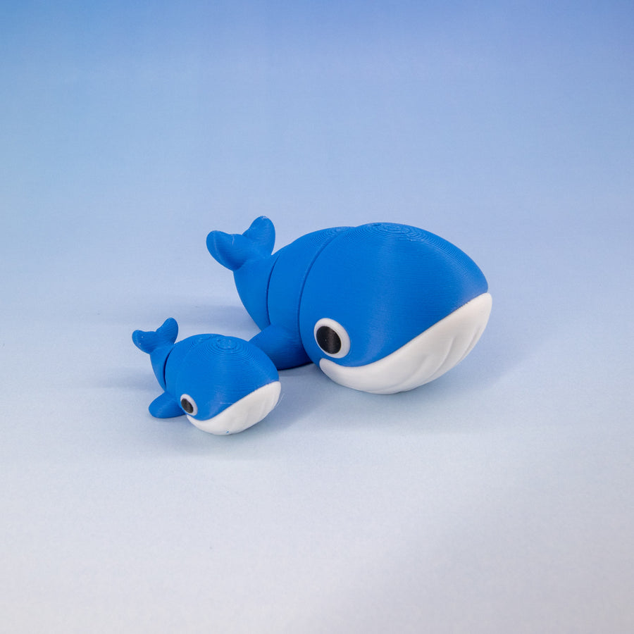 Pocket Pal: Blue Whale