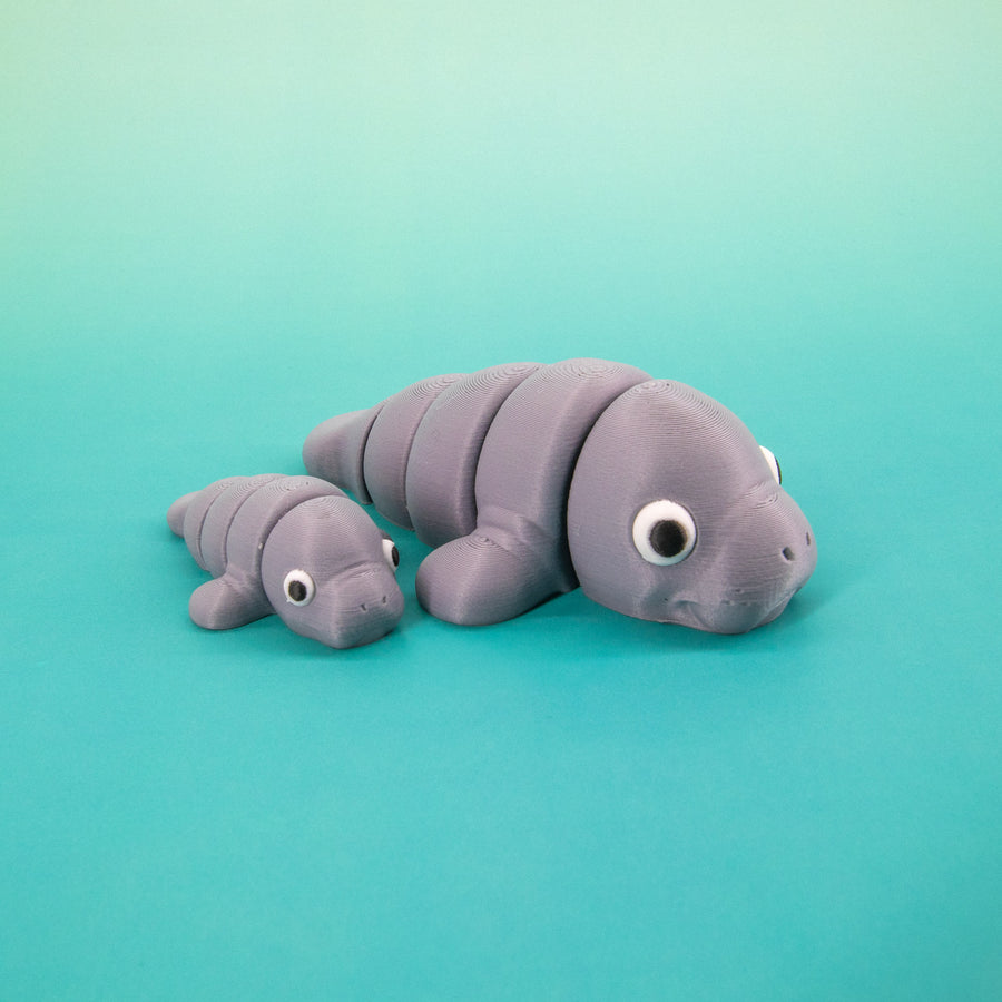 Pocket Pal: Manatee