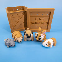 Pocket Pals: Small & Sweet