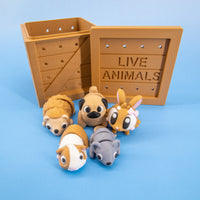 Pocket Pals: Small & Sweet