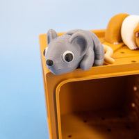 Pocket Pals: Small & Sweet