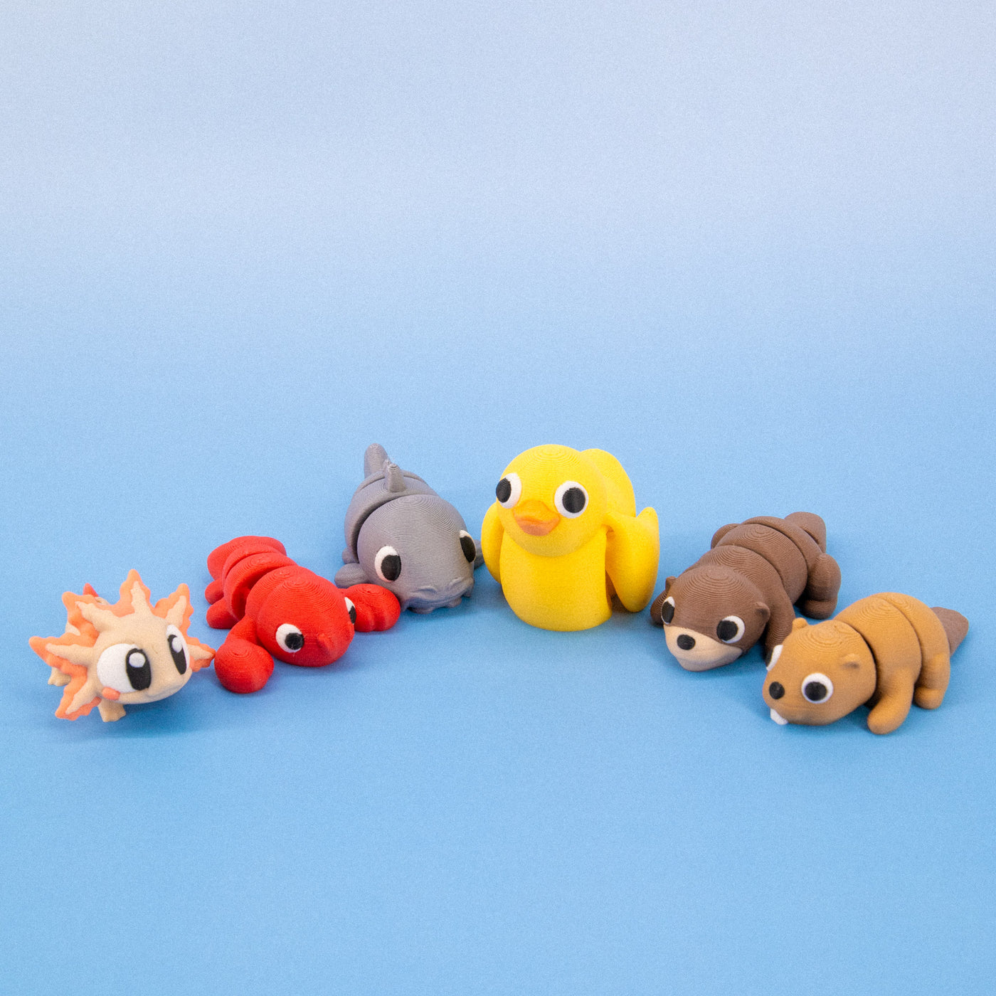 Pocket Pals: Freshwater Friends