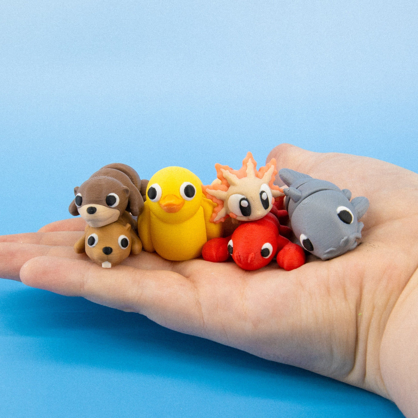 Pocket Pals: Freshwater Friends