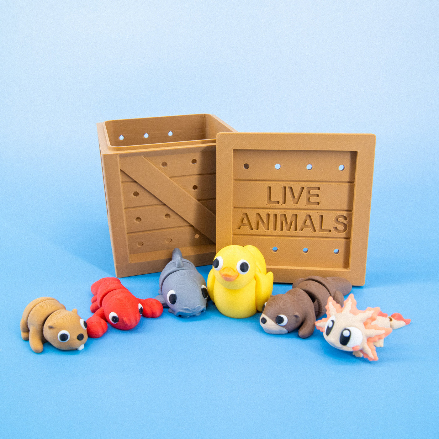 Pocket Pals: Freshwater Friends