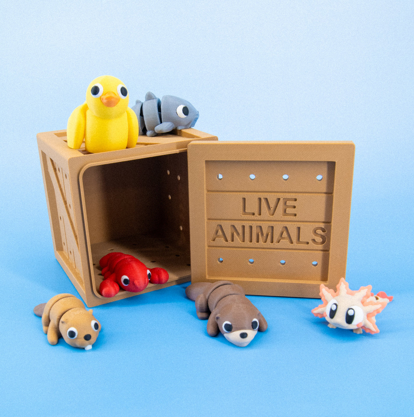 Pocket Pals: Freshwater Friends