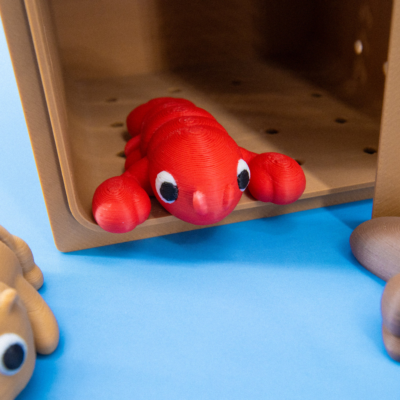 Pocket Pals: Freshwater Friends