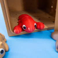 Pocket Pals: Freshwater Friends