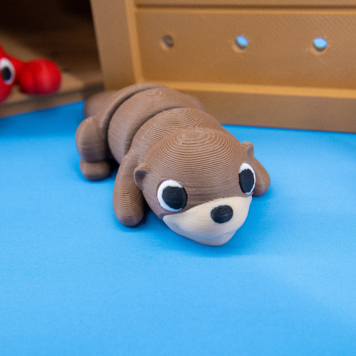 Pocket Pals: Freshwater Friends