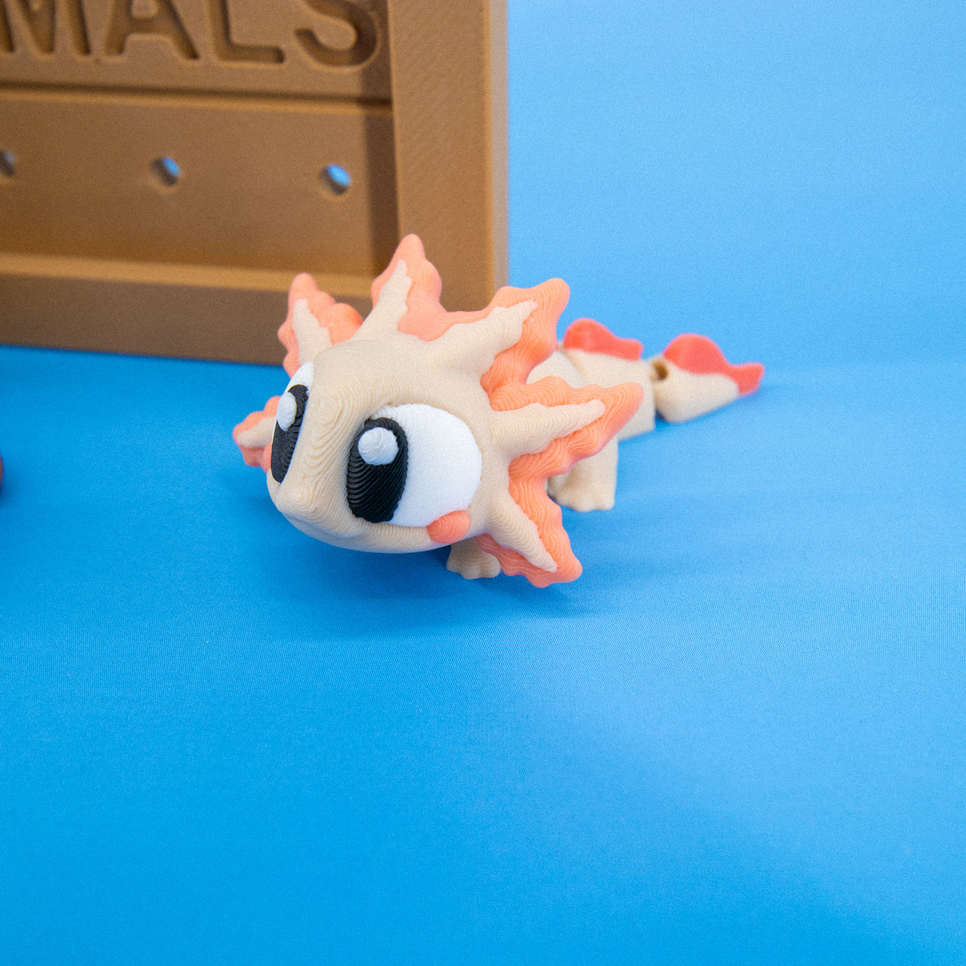 Pocket Pals: Freshwater Friends