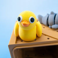 Pocket Pals: Freshwater Friends