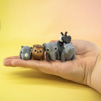 Pocket Pals: Grassland Guides