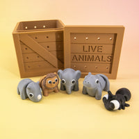 Pocket Pals: Grassland Guides