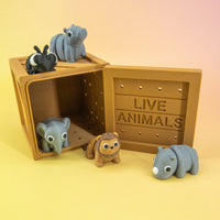 Pocket Pals: Grassland Guides