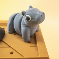 Pocket Pals: Grassland Guides