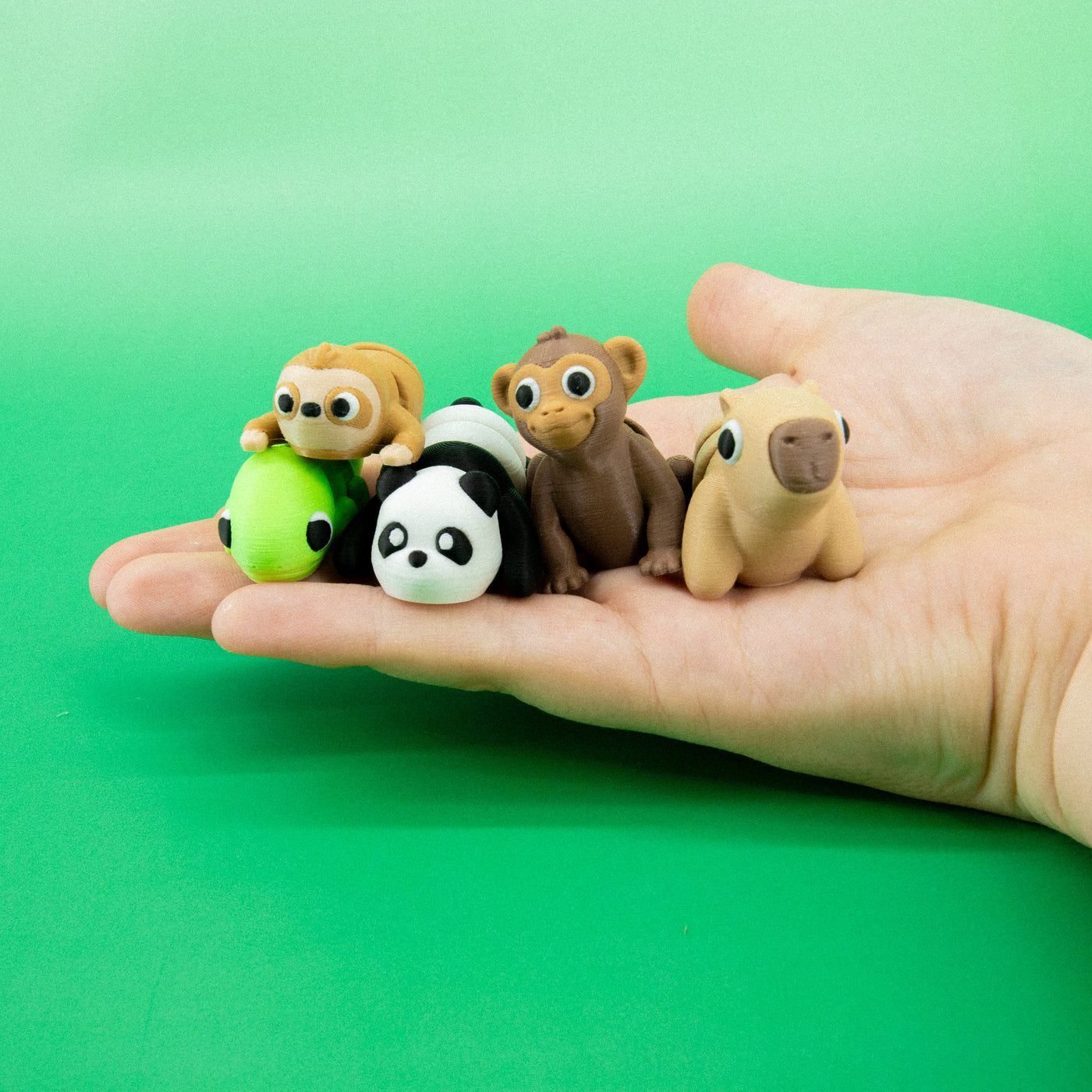 Pocket Pals: Jungle Jamboree