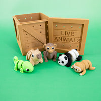 Pocket Pals: Jungle Jamboree