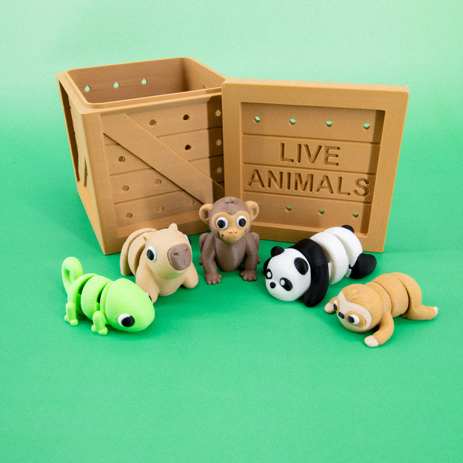 Pocket Pals: Jungle Jamboree