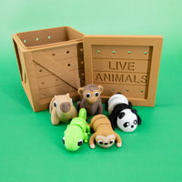 Pocket Pals: Jungle Jamboree