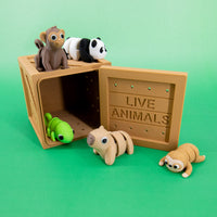 Pocket Pals: Jungle Jamboree