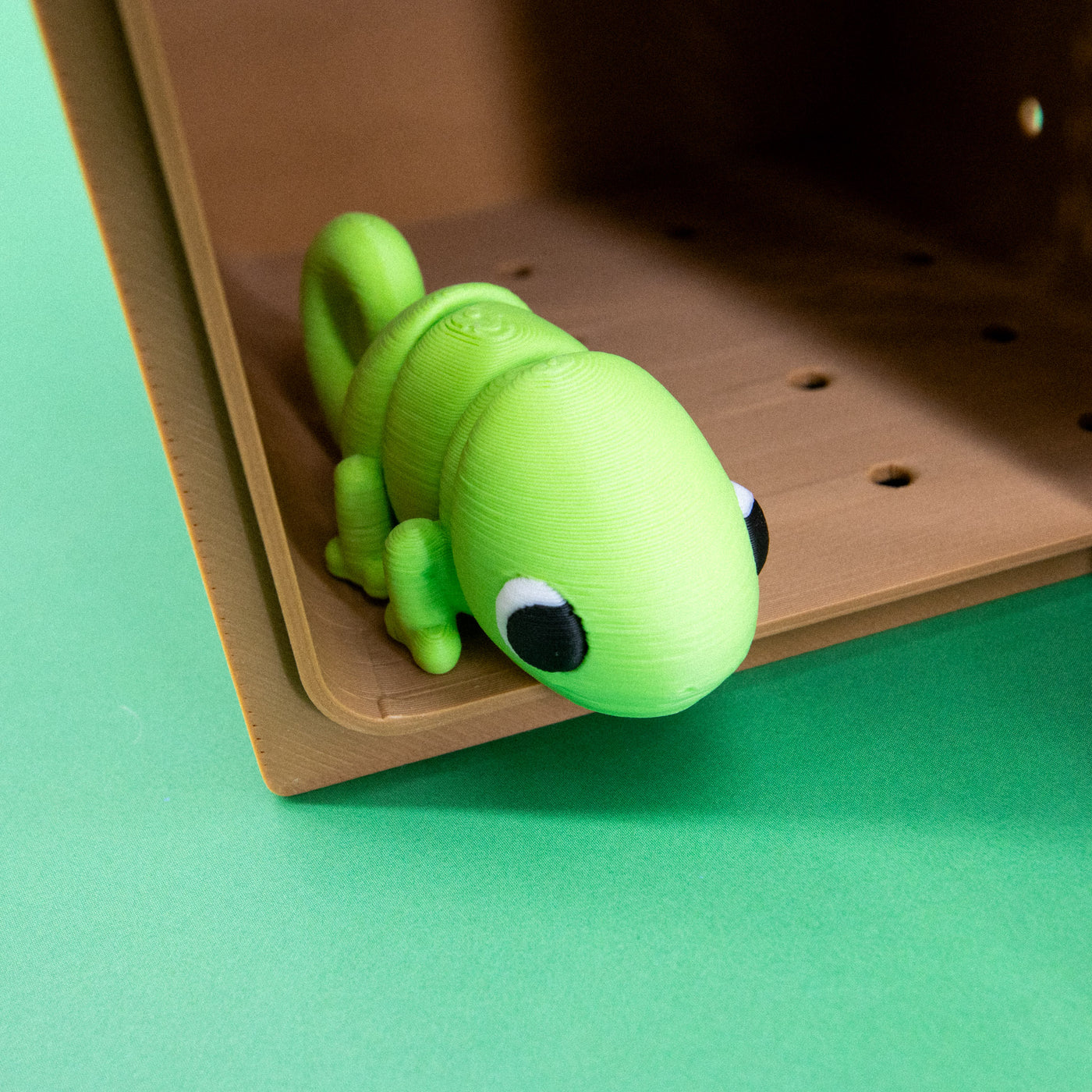 Pocket Pals: Jungle Jamboree