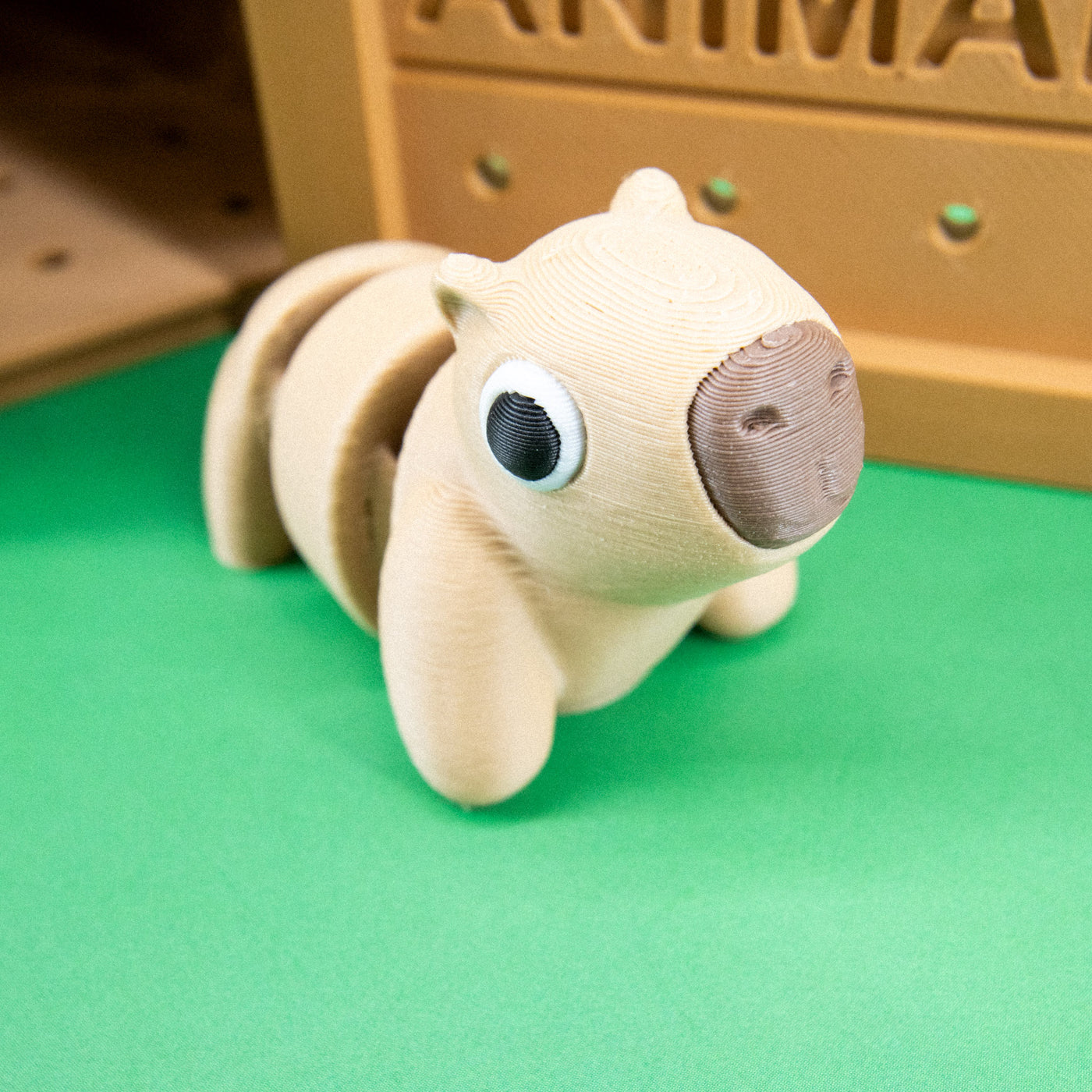 Pocket Pals: Jungle Jamboree