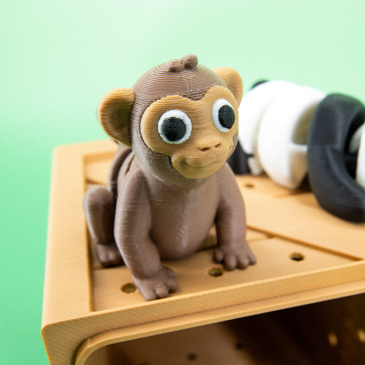 Pocket Pals: Jungle Jamboree