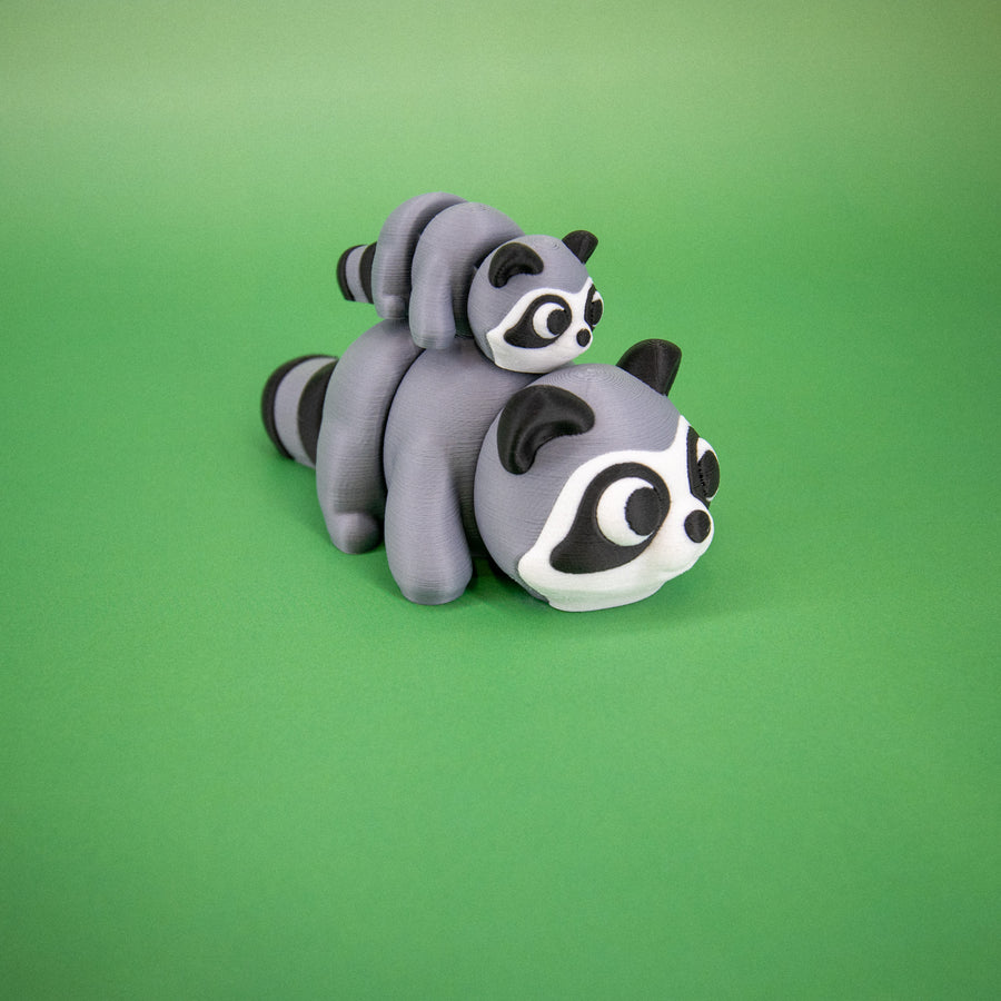 Pocket Pal: Raccoon