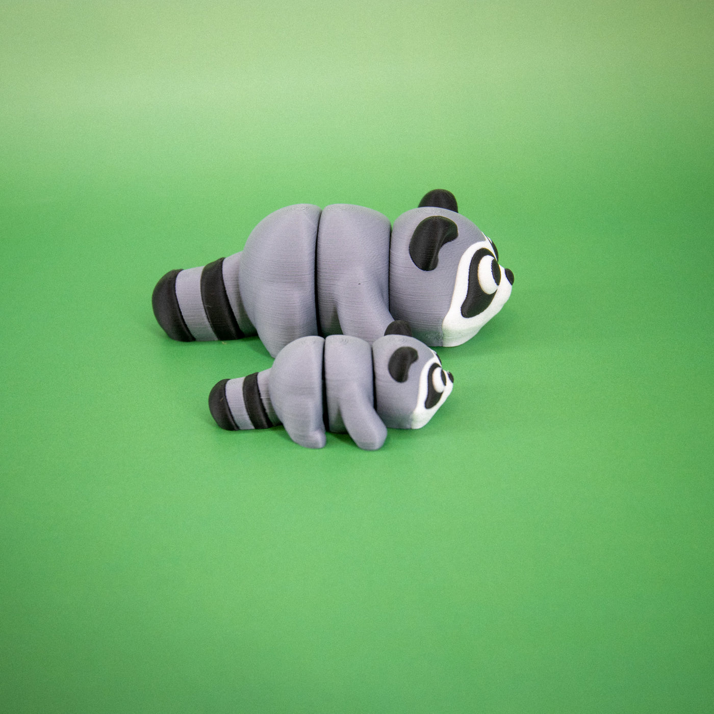 Pocket Pal: Raccoon