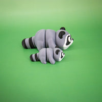 Pocket Pal: Raccoon
