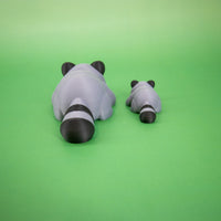 Pocket Pal: Raccoon