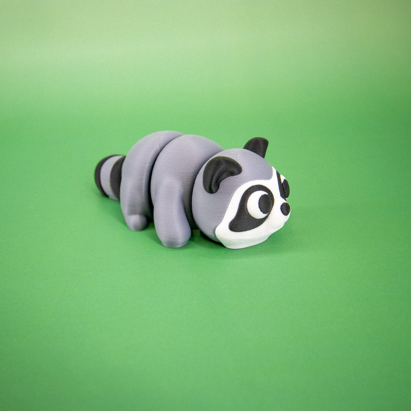 Pocket Pal: Raccoon