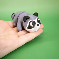 Pocket Pal: Raccoon