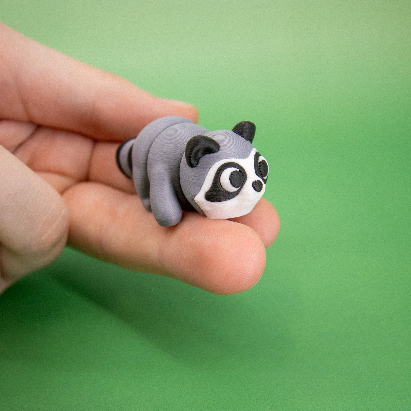 Pocket Pal: Raccoon