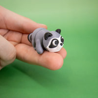 Pocket Pal: Raccoon