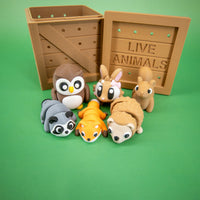 Pocket Pals: Forest Friends Set