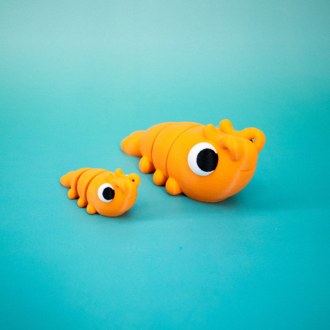 Pocket Pal: Shrimp
