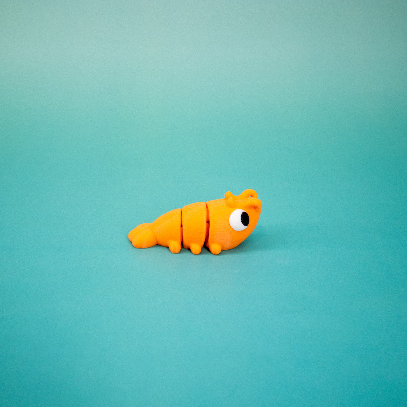 Pocket Pal: Shrimp