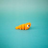 Pocket Pal: Shrimp