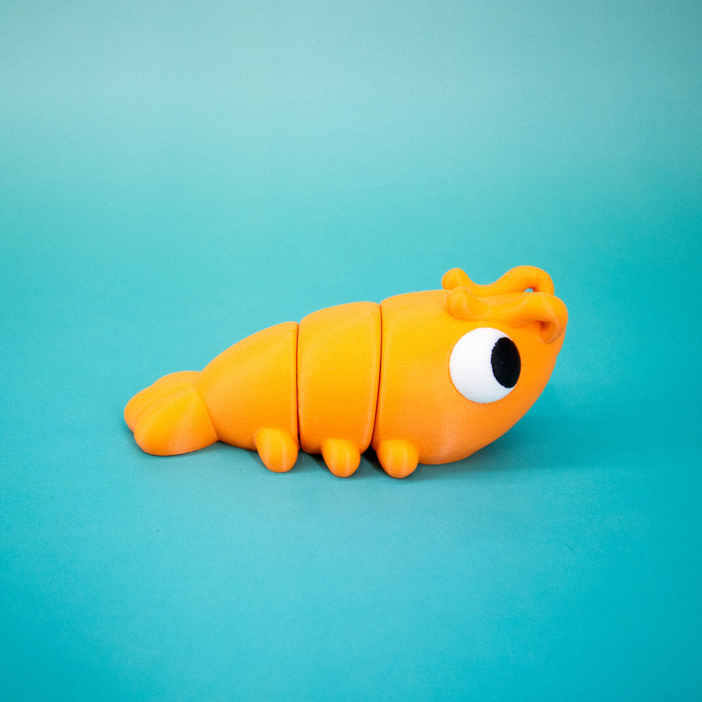 Pocket Pal: Shrimp