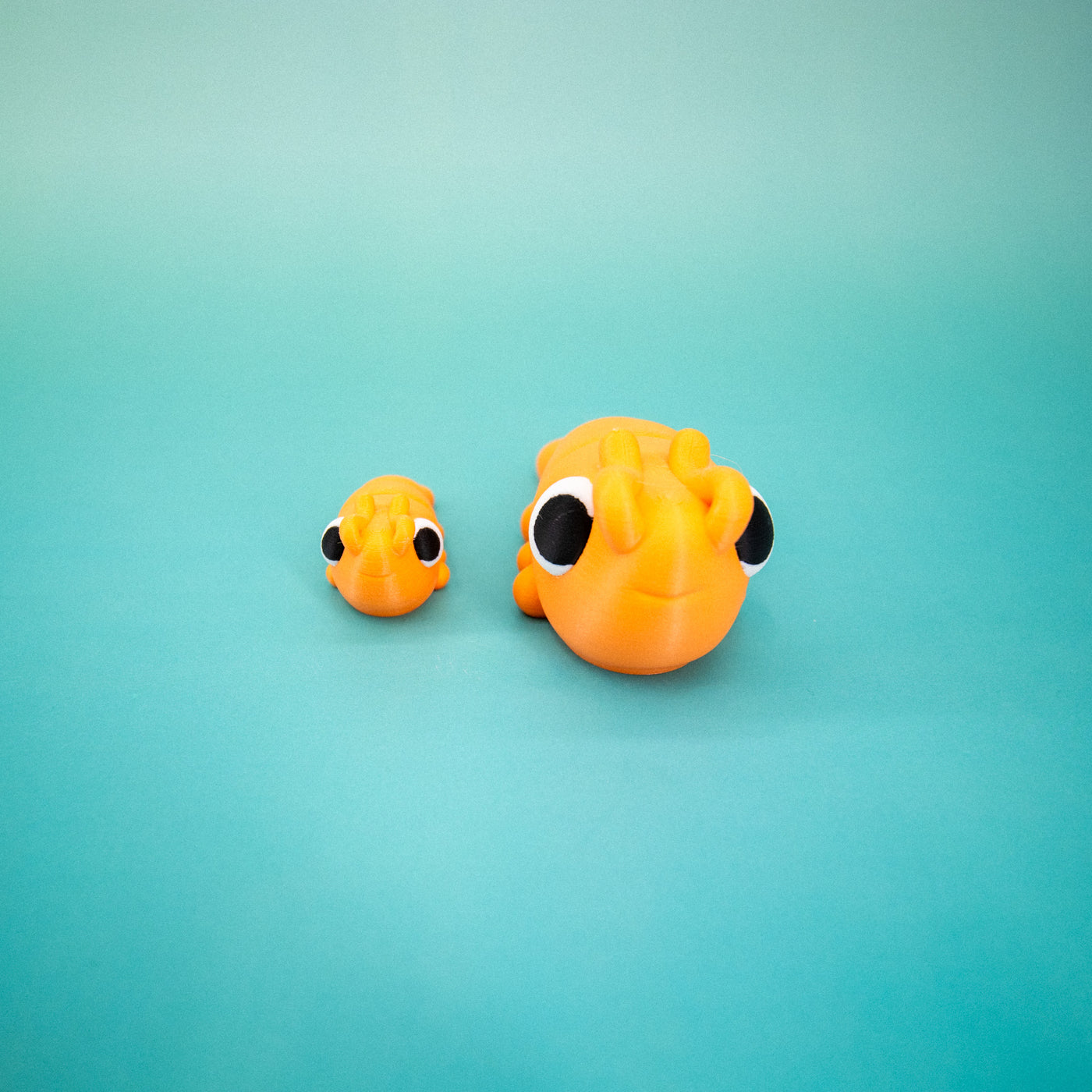 Pocket Pal: Shrimp