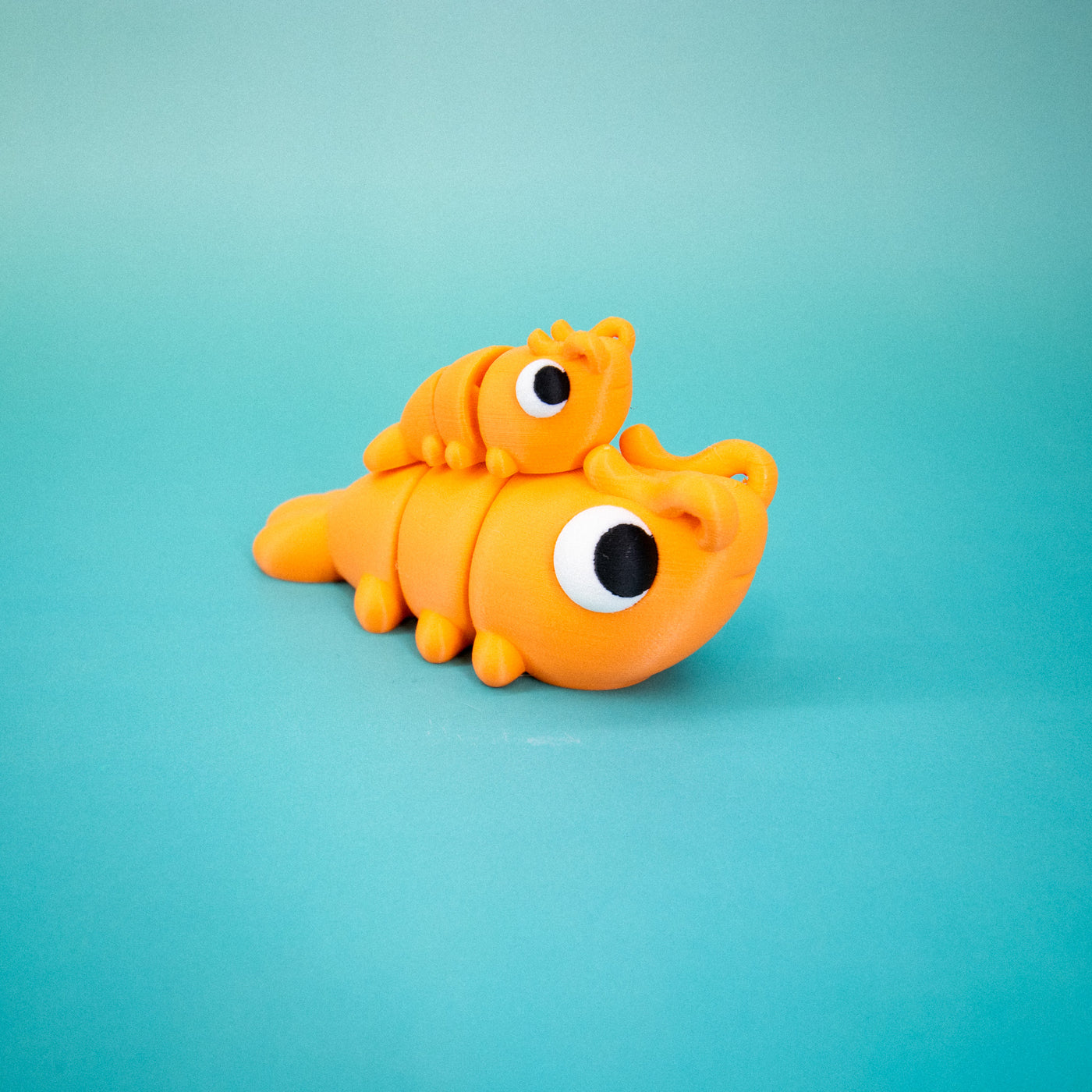 Pocket Pal: Shrimp