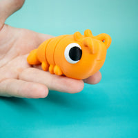 Pocket Pal: Shrimp